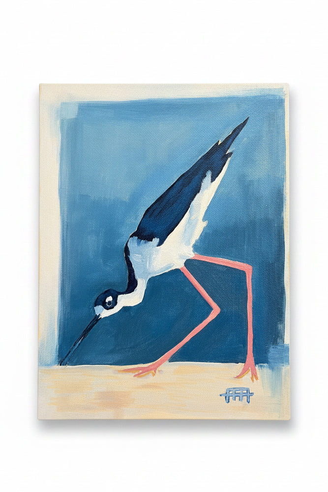 shorebird no.1